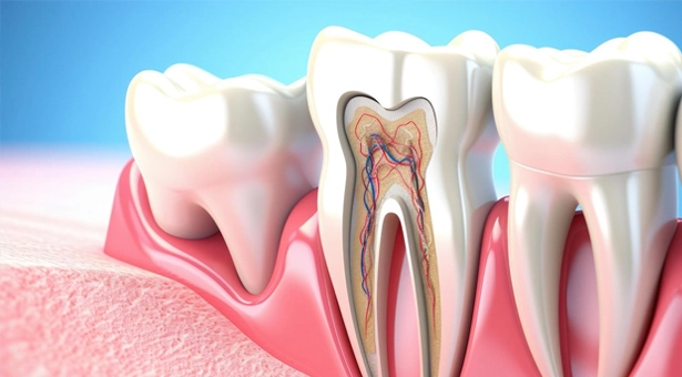 Rotary Endodontics Handpiece