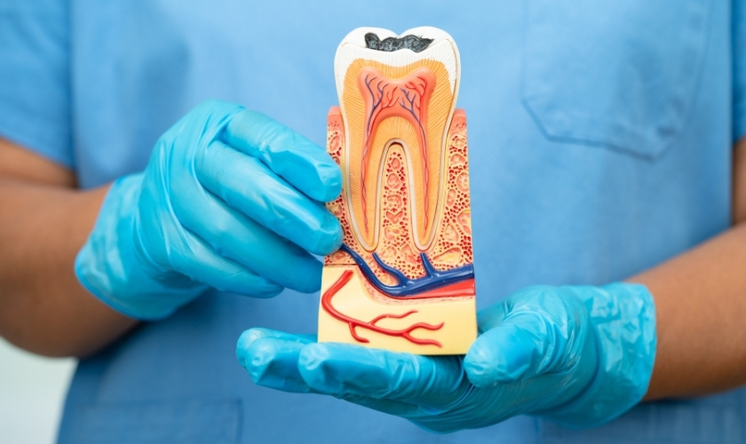 Root Canal Needs in Waco